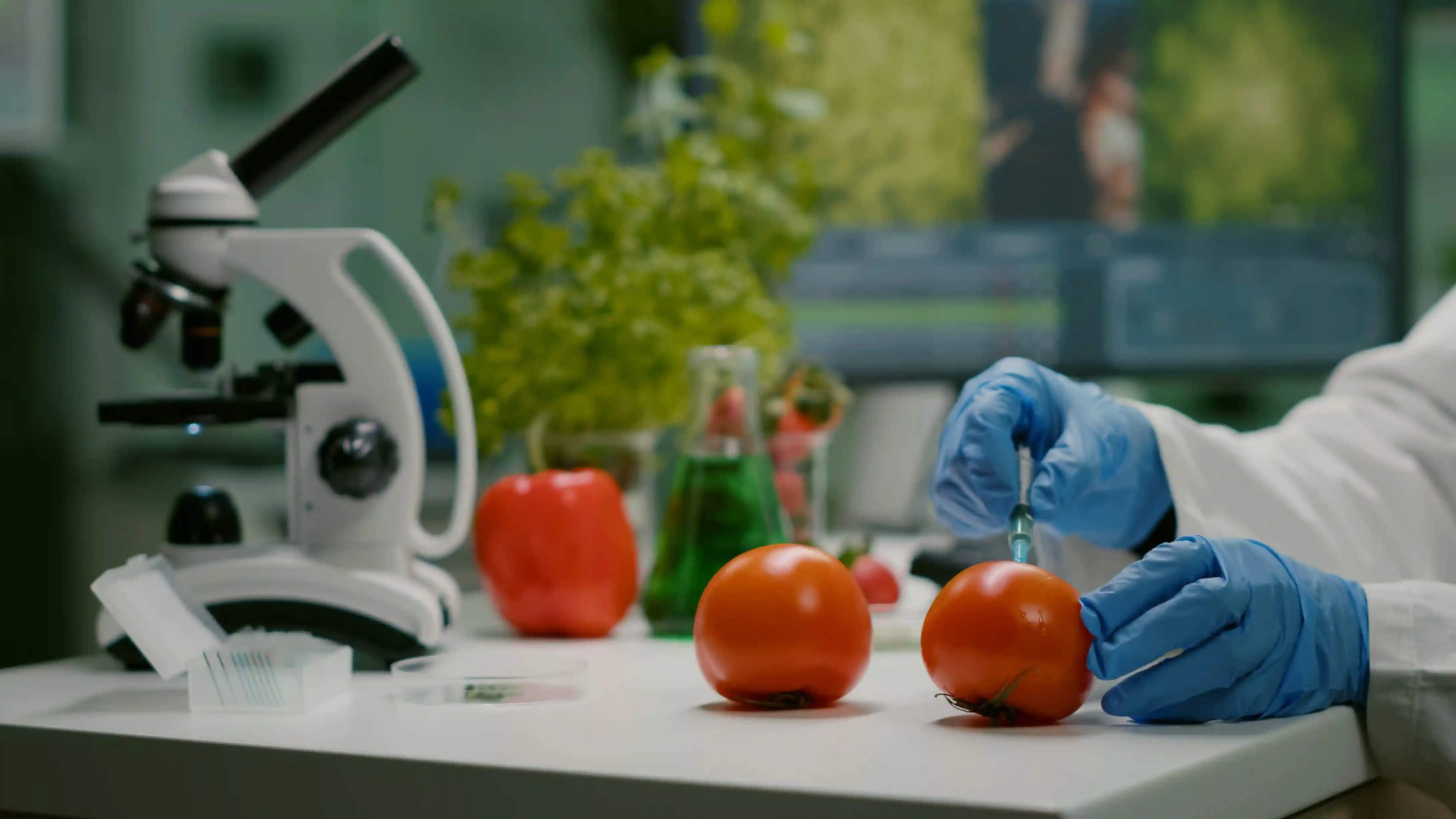 Biotechnology MSc