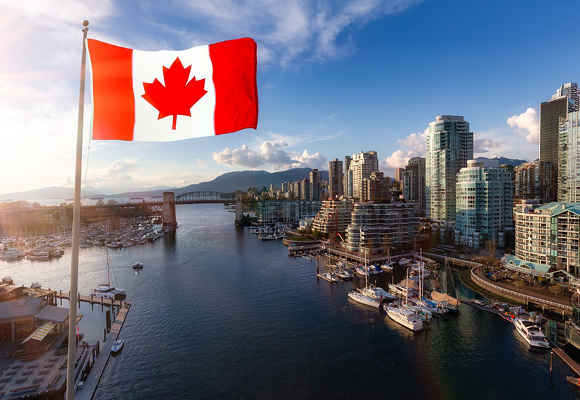 Dịch vụ vận chuyển Thú cưng đi Canada 