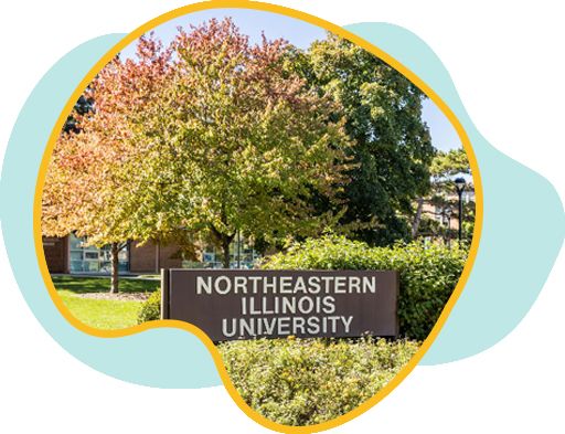 university