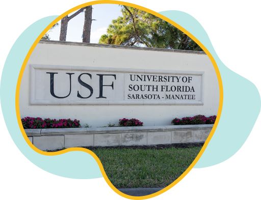 university
